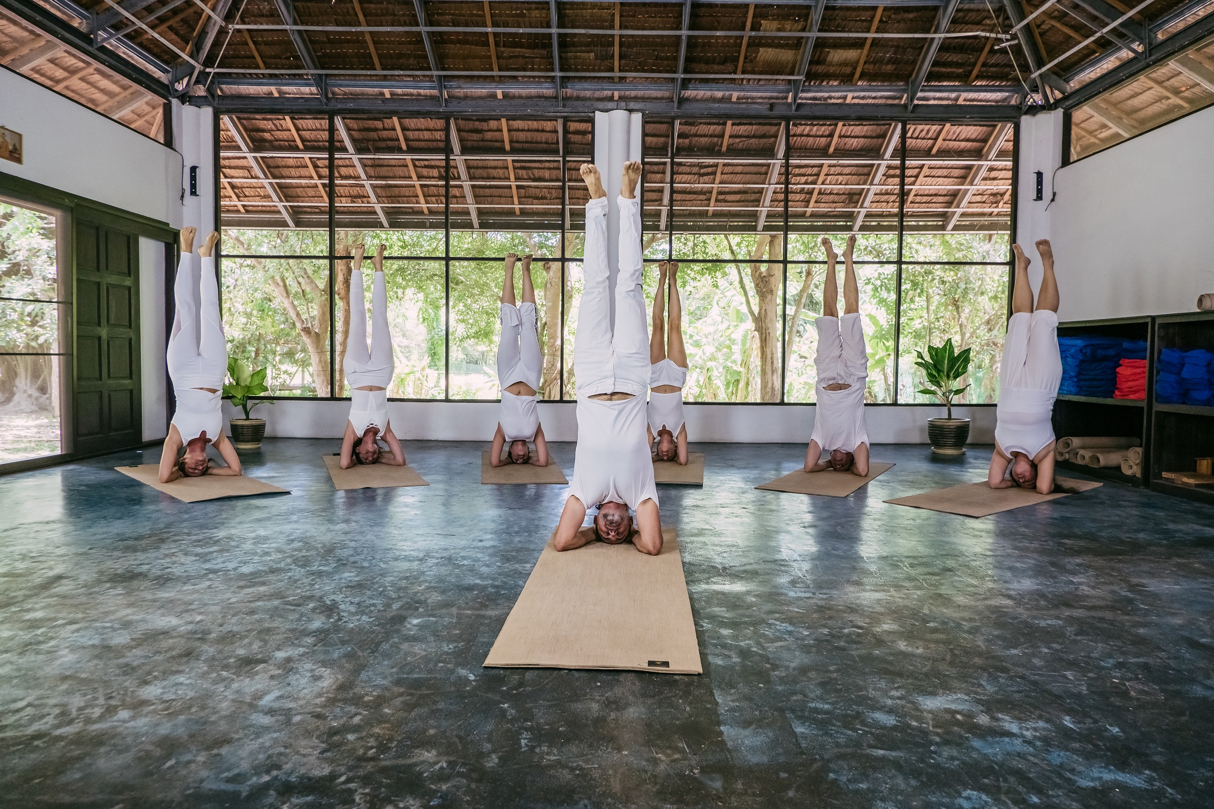 Yoga Systems - Hatha Yoga School