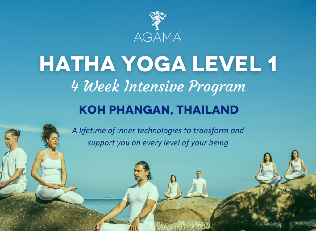 Hatha Yoga Level 1 Koh Phangan FB Agama Yoga hatha-yoga-level-1-koh-phangan-fb-agama-yoga