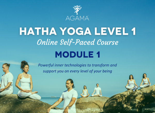 Hatha Yoga Level 1 Free Module 1