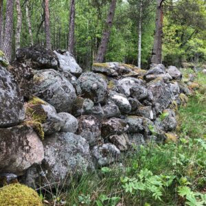 Chakra Specials Muladhara Vitality